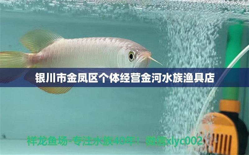 银川市金凤区个体经营金河水族渔具店