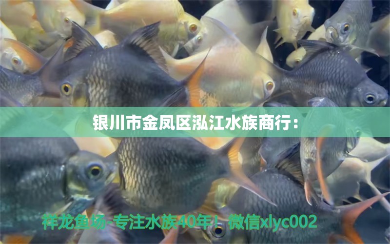 银川市金凤区泓江水族商行：