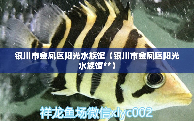 银川市金凤区阳光水族馆（银川市金凤区阳光水族馆**）