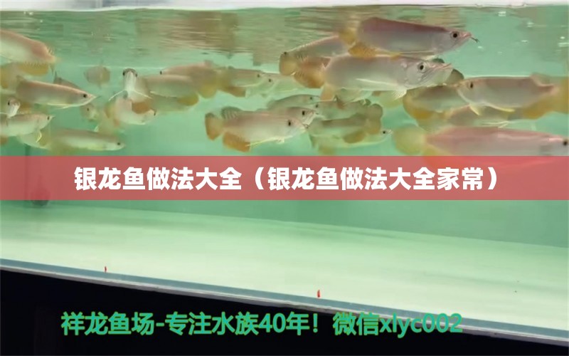 银龙鱼做法大全（银龙鱼做法大全家常） 银龙鱼