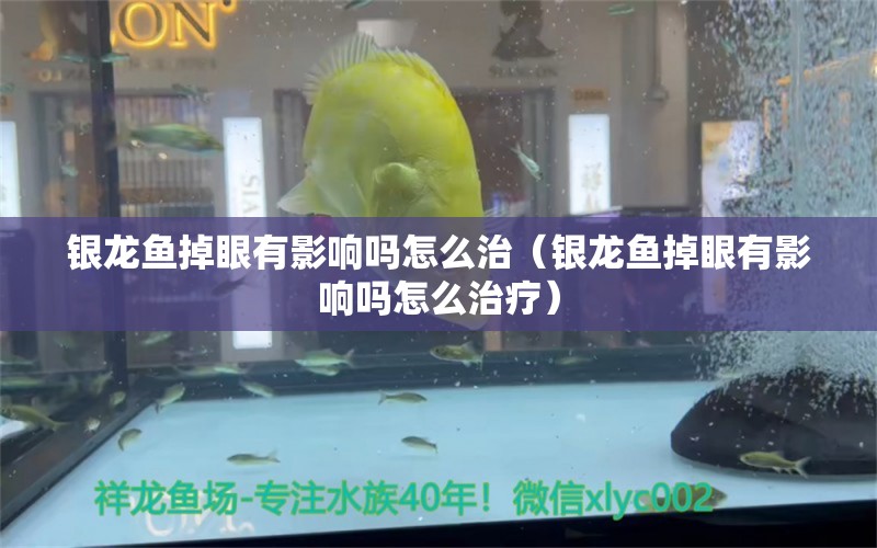 银龙鱼掉眼有影响吗怎么治（银龙鱼掉眼有影响吗怎么治疗）