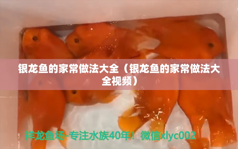 银龙鱼的家常做法大全（银龙鱼的家常做法大全视频）