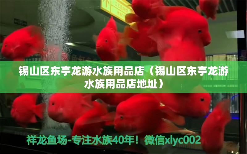 锡山区东亭龙游水族用品店（锡山区东亭龙游水族用品店地址） 水族用品