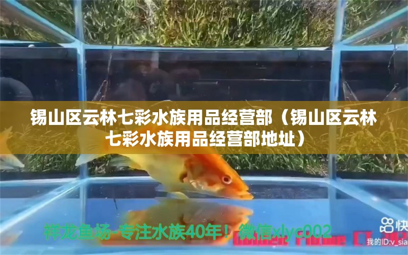 锡山区云林七彩水族用品经营部（锡山区云林七彩水族用品经营部地址）