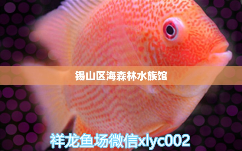 锡山区海森林水族馆