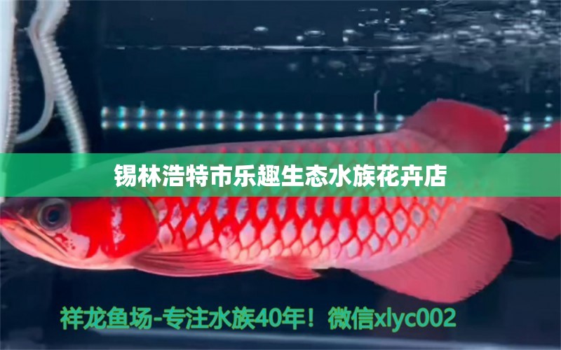 锡林浩特市乐趣生态水族花卉店 全国水族馆企业名录