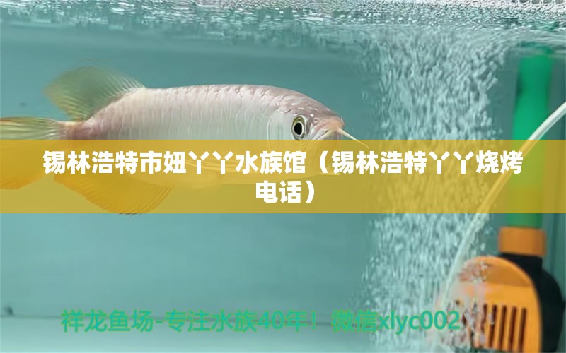 锡林浩特市妞丫丫水族馆（锡林浩特丫丫烧烤电话）