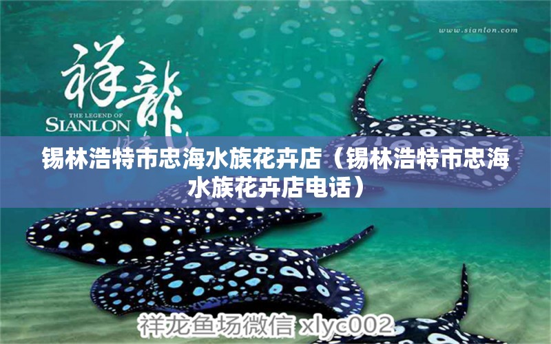 锡林浩特市忠海水族花卉店（锡林浩特市忠海水族花卉店电话）