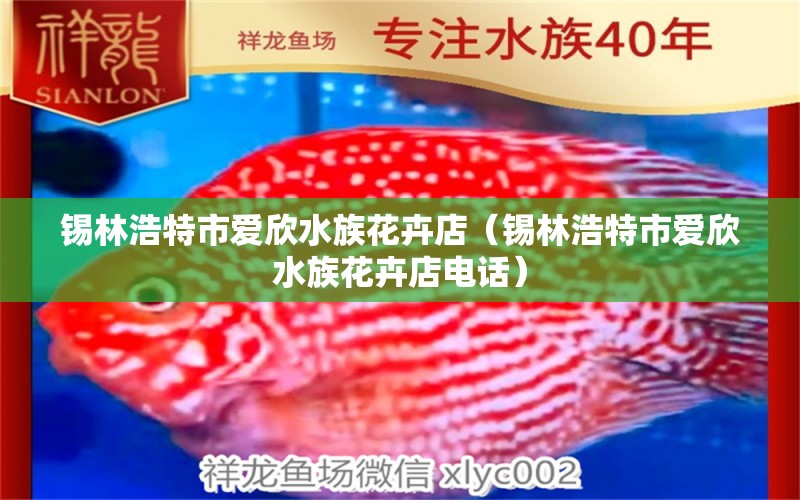 锡林浩特市爱欣水族花卉店（锡林浩特市爱欣水族花卉店电话）