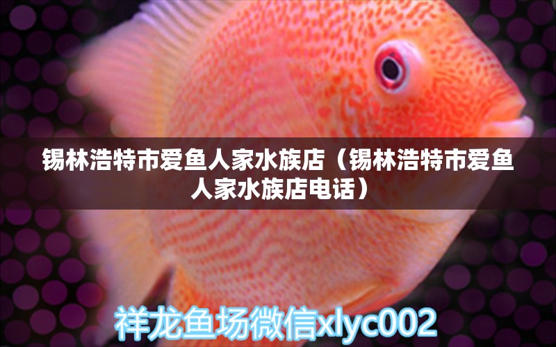 锡林浩特市爱鱼人家水族店（锡林浩特市爱鱼人家水族店电话）