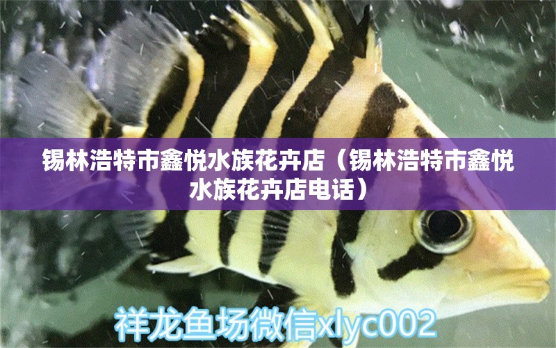 锡林浩特市鑫悦水族花卉店（锡林浩特市鑫悦水族花卉店电话）