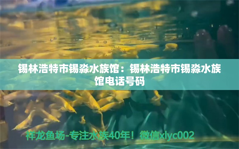 锡林浩特市锡淼水族馆：锡林浩特市锡淼水族馆电话号码 全国水族馆企业名录