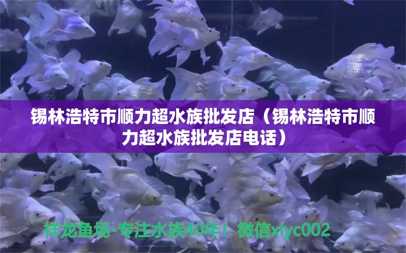 锡林浩特市顺力超水族批发店（锡林浩特市顺力超水族批发店电话） 全国水族馆企业名录