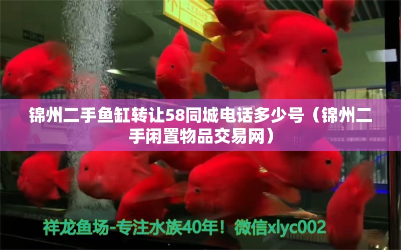 锦州二手鱼缸转让58同城电话多少号（锦州二手闲置物品交易网） 养鱼的好处 第1张