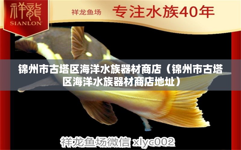 锦州市古塔区海洋水族器材商店（锦州市古塔区海洋水族器材商店地址）