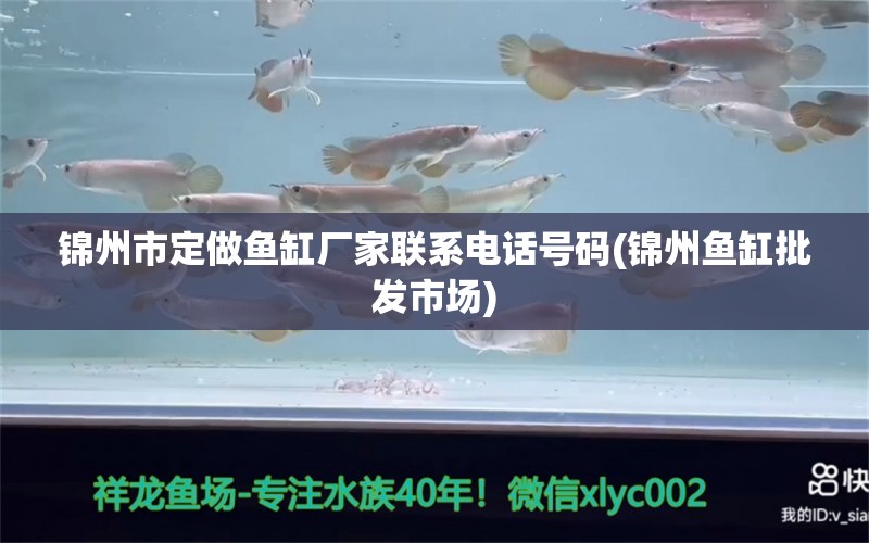 锦州市定做鱼缸厂家联系电话号码(锦州鱼缸批发市场) 白子金龙鱼