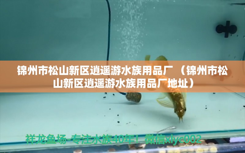 锦州市松山新区逍遥游水族用品厂 （锦州市松山新区逍遥游水族用品厂地址）