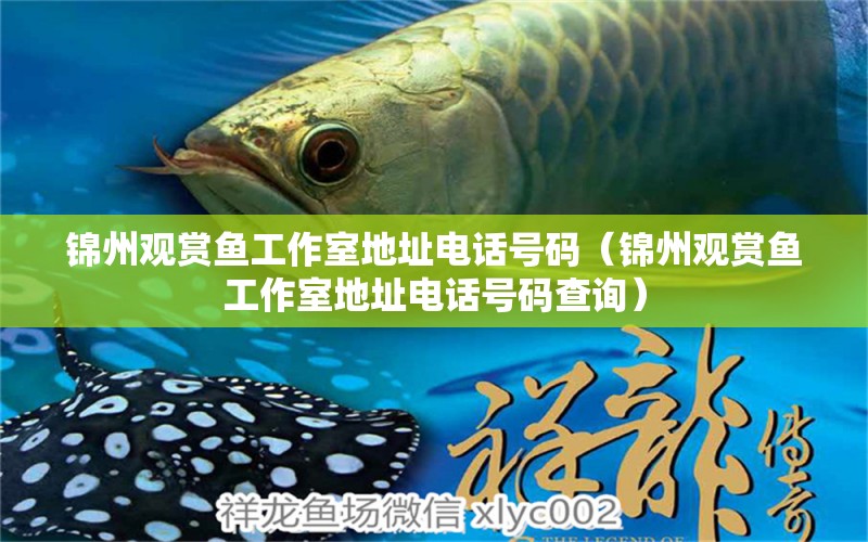 锦州观赏鱼工作室地址电话号码（锦州观赏鱼工作室地址电话号码查询）