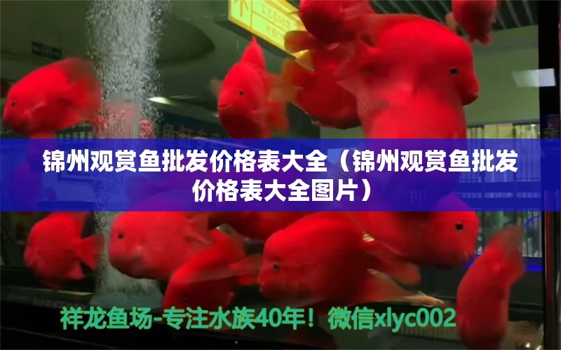 锦州观赏鱼批发价格表大全（锦州观赏鱼批发价格表大全图片）