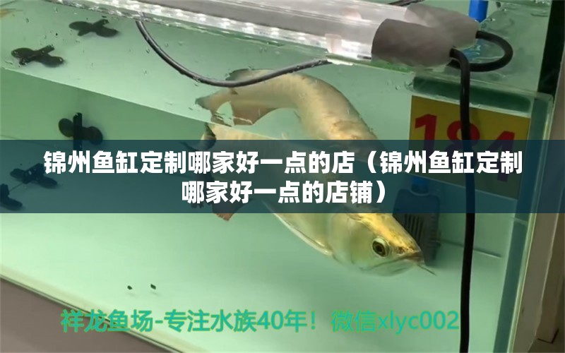 锦州鱼缸定制哪家好一点的店（锦州鱼缸定制哪家好一点的店铺） 观赏鱼市场（混养鱼）