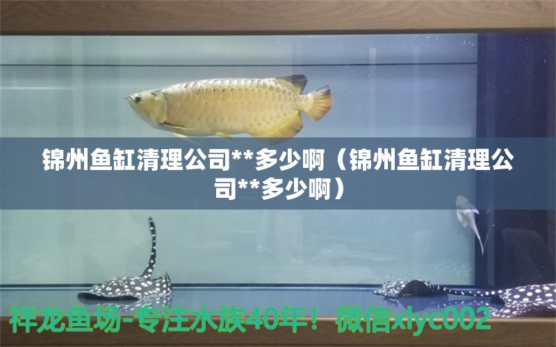 锦州鱼缸清理公司**多少啊（锦州鱼缸清理公司**多少啊） 可丽爱鱼缸