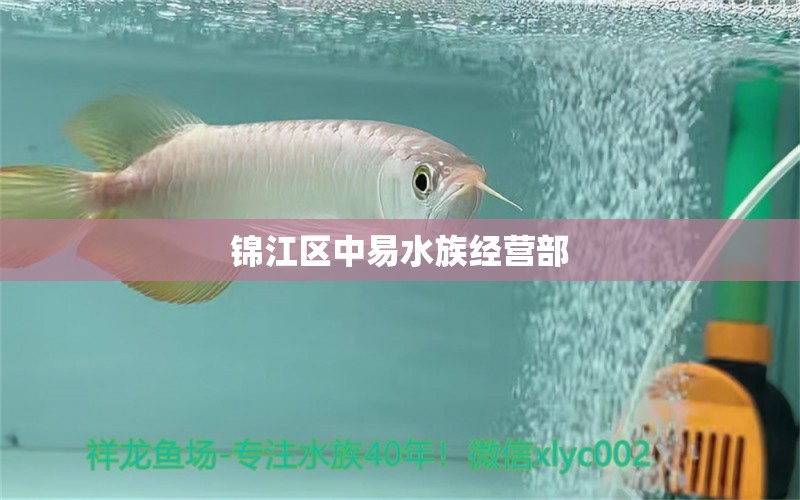 锦江区中易水族经营部 全国水族馆企业名录