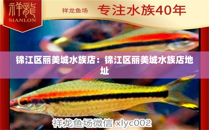 锦江区丽美城水族店：锦江区丽美城水族店地址