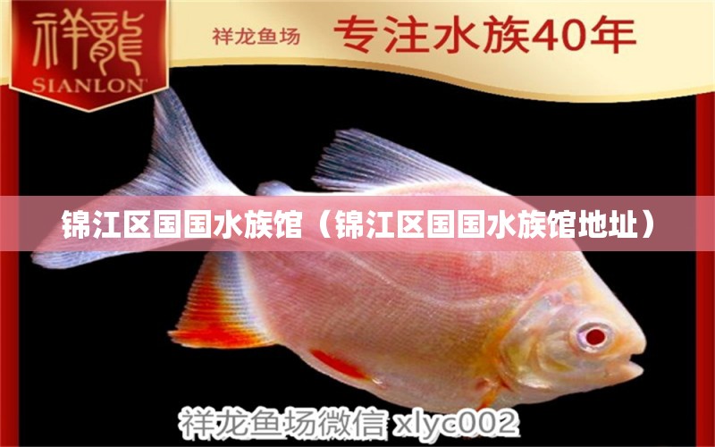 锦江区国国水族馆（锦江区国国水族馆地址） 全国水族馆企业名录