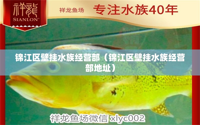 锦江区壁挂水族经营部（锦江区壁挂水族经营部地址） 全国水族馆企业名录