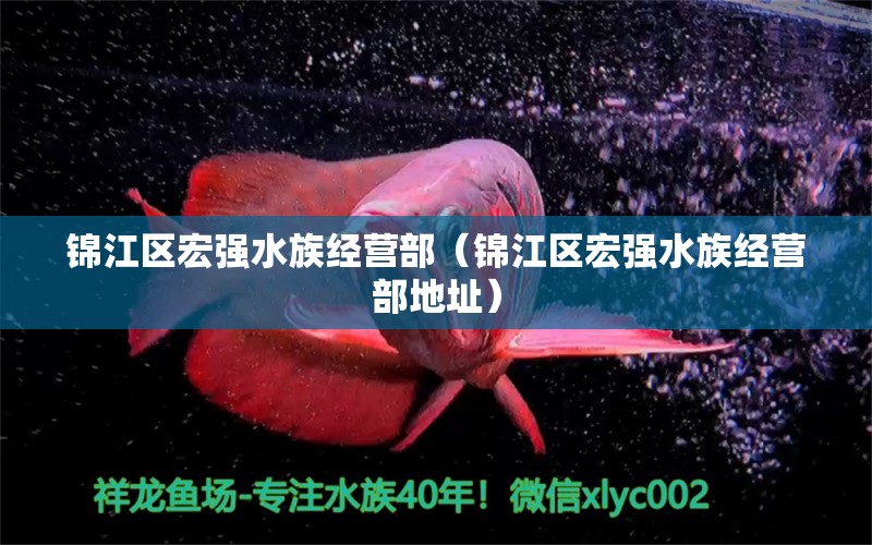 锦江区宏强水族经营部（锦江区宏强水族经营部地址） 全国水族馆企业名录