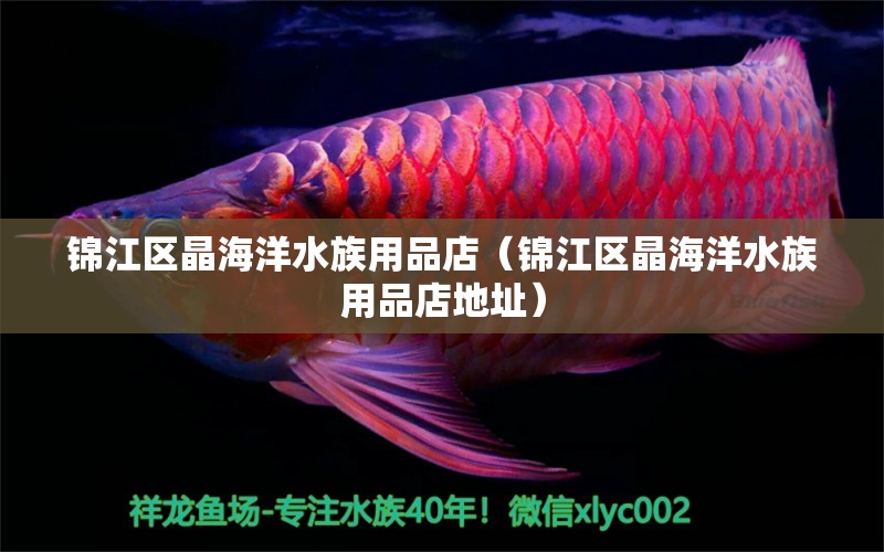 锦江区晶海洋水族用品店（锦江区晶海洋水族用品店地址）