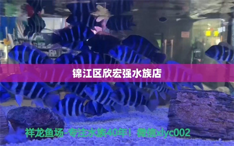 锦江区欣宏强水族店 全国水族馆企业名录