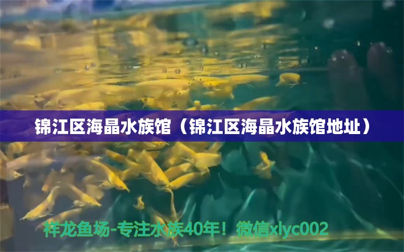 锦江区海晶水族馆（锦江区海晶水族馆地址）