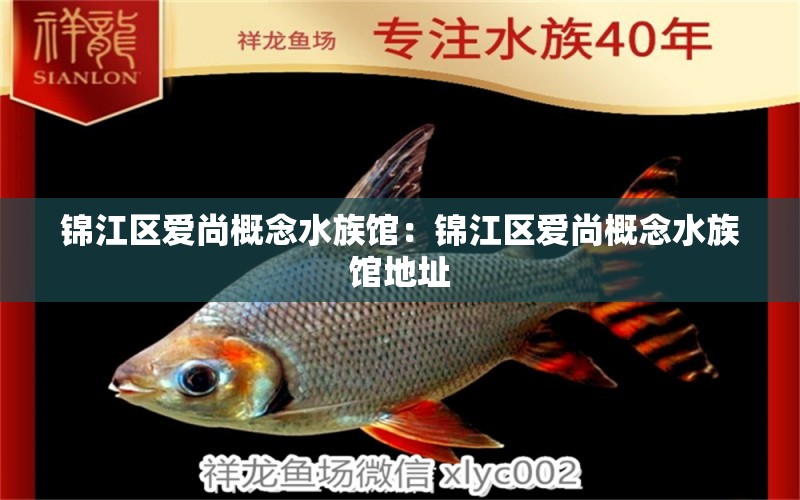 锦江区爱尚概念水族馆：锦江区爱尚概念水族馆地址