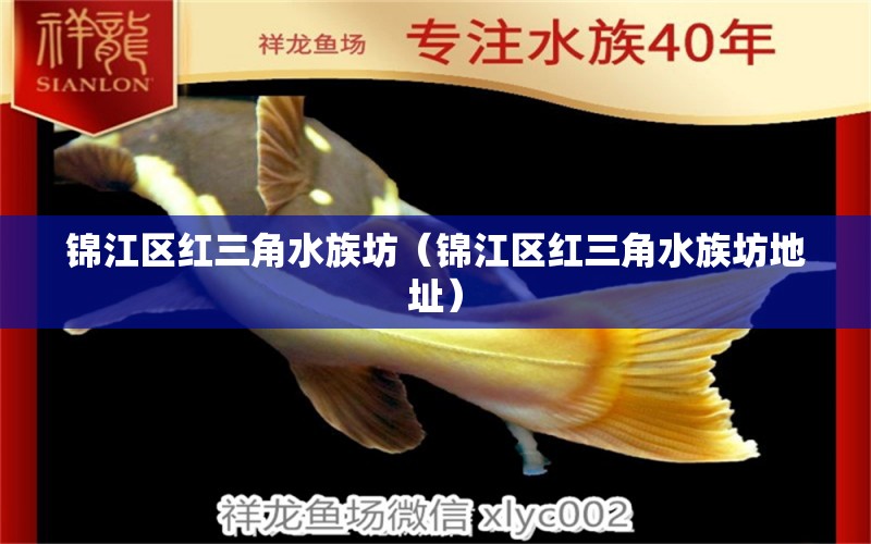 锦江区红三角水族坊（锦江区红三角水族坊地址） 全国水族馆企业名录