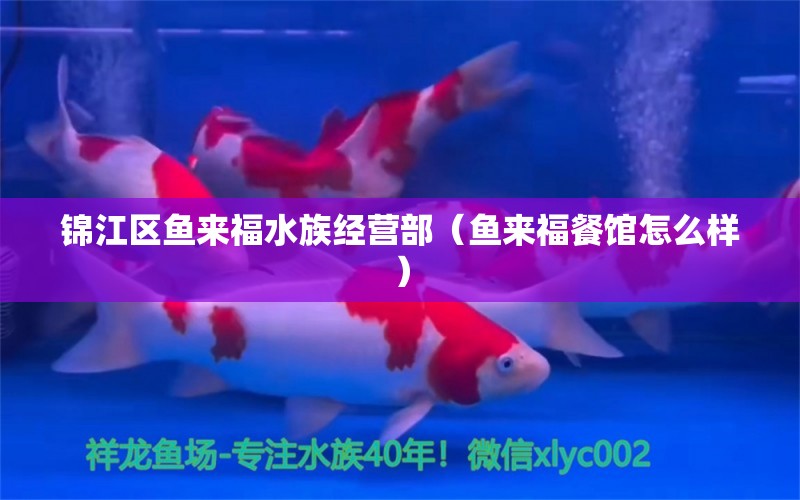 锦江区鱼来福水族经营部（鱼来福餐馆怎么样） 全国水族馆企业名录