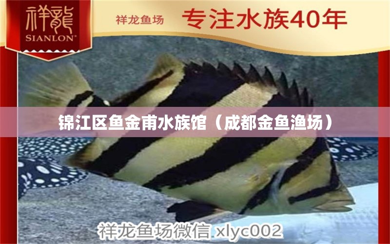 锦江区鱼金甫水族馆（成都金鱼渔场） 全国水族馆企业名录