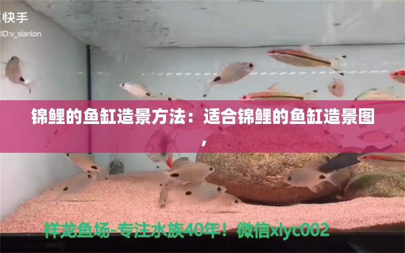 锦鲤的鱼缸造景方法：适合锦鲤的鱼缸造景图， 鱼缸百科 第2张