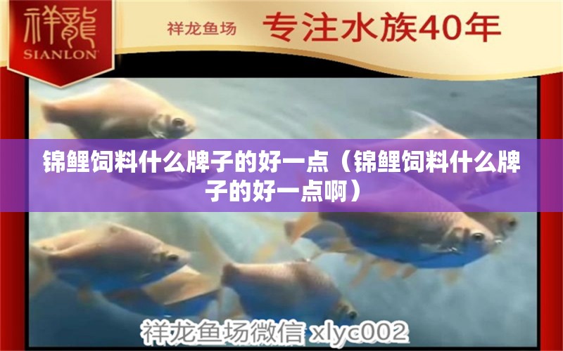 锦鲤饲料什么牌子的好一点（锦鲤饲料什么牌子的好一点啊） 锦鲤饲料