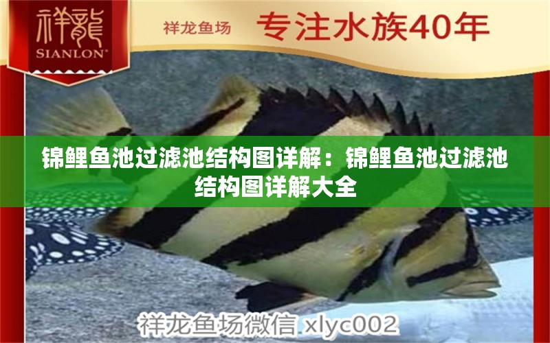 锦鲤鱼池过滤池结构图详解：锦鲤鱼池过滤池结构图详解大全