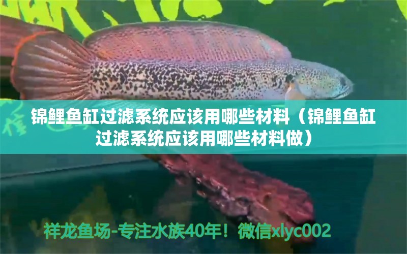 锦鲤鱼缸过滤系统应该用哪些材料（锦鲤鱼缸过滤系统应该用哪些材料做）