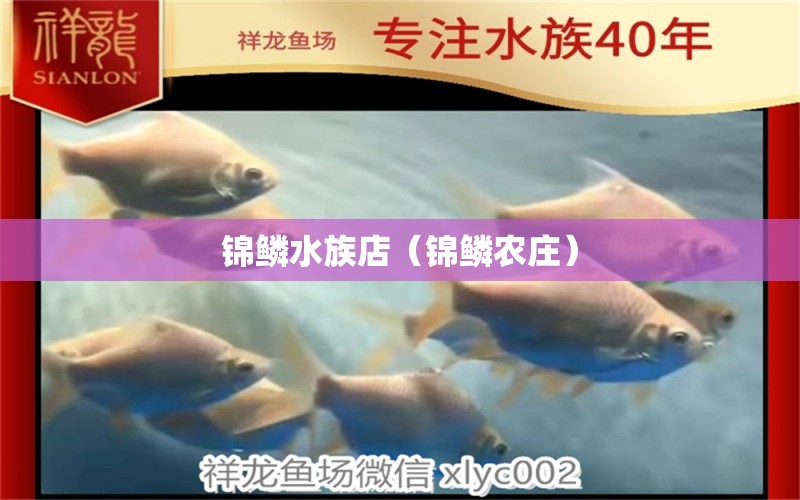 锦鳞水族店（锦鳞农庄） 全国水族馆企业名录