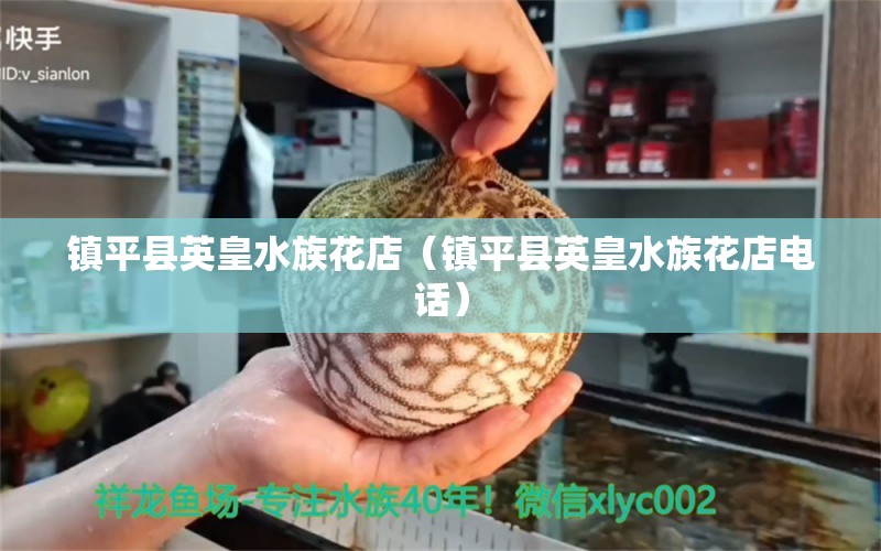 镇平县英皇水族花店（镇平县英皇水族花店电话） 全国水族馆企业名录