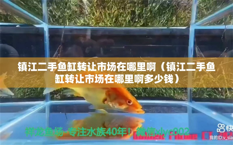 镇江二手鱼缸转让市场在哪里啊（镇江二手鱼缸转让市场在哪里啊多少钱）