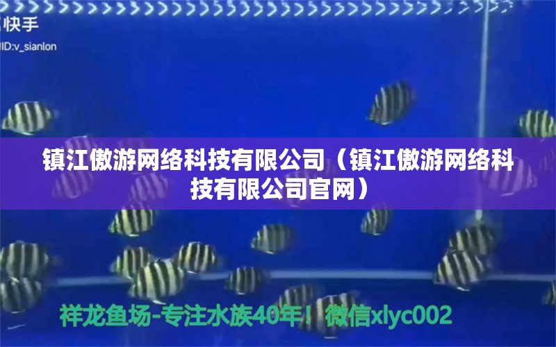 镇江傲游网络科技有限公司（镇江傲游网络科技有限公司官网）