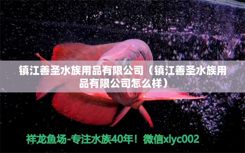 镇江善圣水族用品有限公司（镇江善圣水族用品有限公司怎么样）