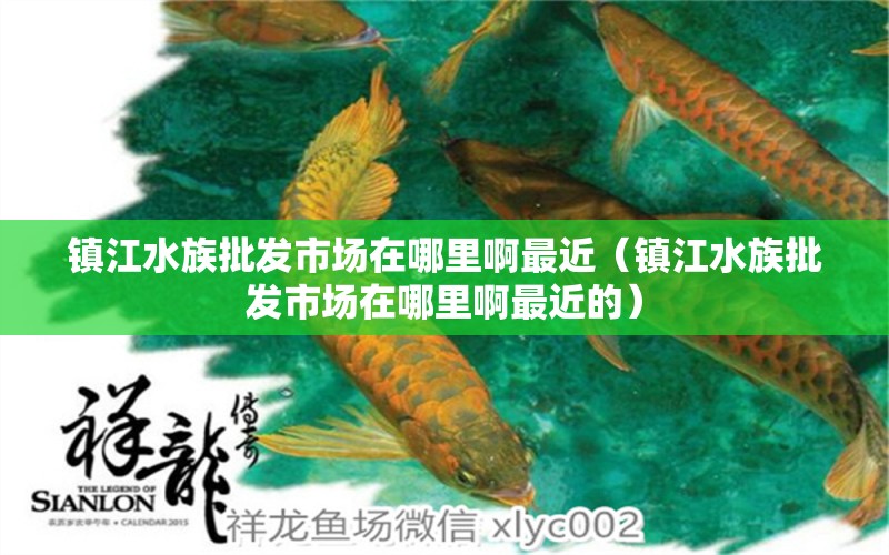 镇江水族批发市场在哪里啊最近（镇江水族批发市场在哪里啊最近的）