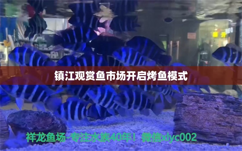 镇江观赏鱼市场开启烤鱼模式 观赏鱼市场（混养鱼） 第9张