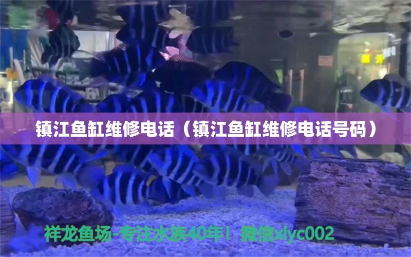 镇江鱼缸维修电话（镇江鱼缸维修电话号码）