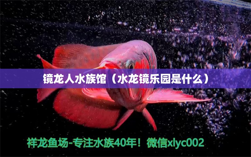 镜龙人水族馆（水龙镜乐园是什么）